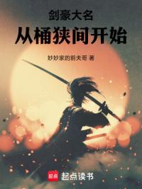 剑豪大名，从桶狭间开始